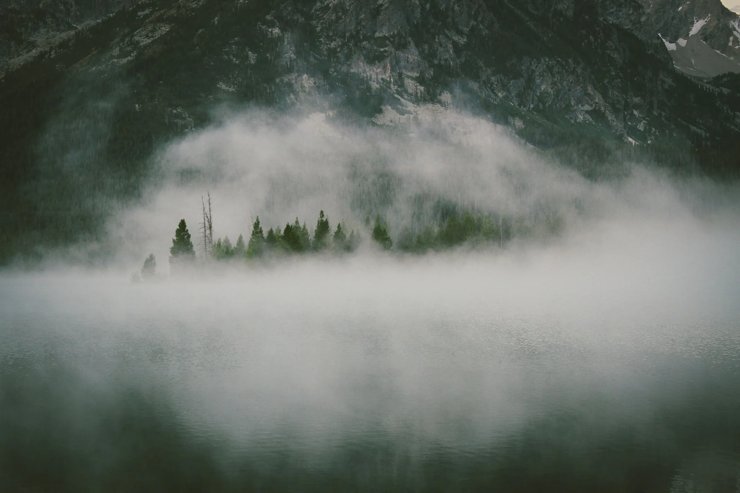 Morning mist moving through a forested valley